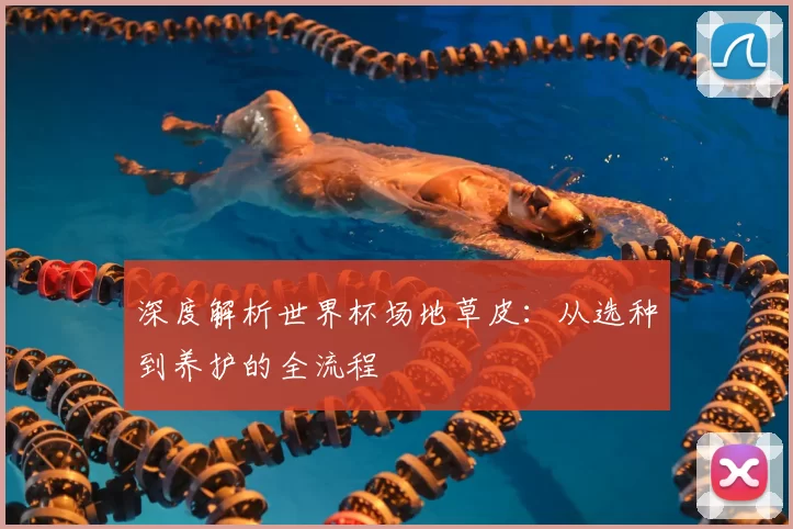 深度解析世界杯场地草皮:从选种到养护的全流程