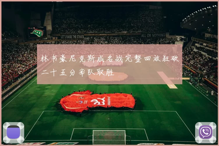 林书豪尼克斯成名战完整回放狂砍二十五分率队取胜