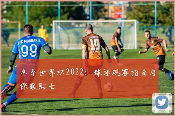 冬季世界杯2022：球迷观赛指南与保暖贴士
