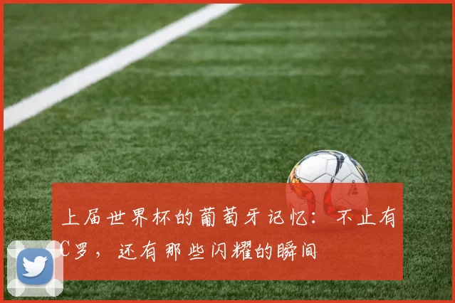 上届世界杯的葡萄牙记忆：不止有C罗，还有那些闪耀的瞬间