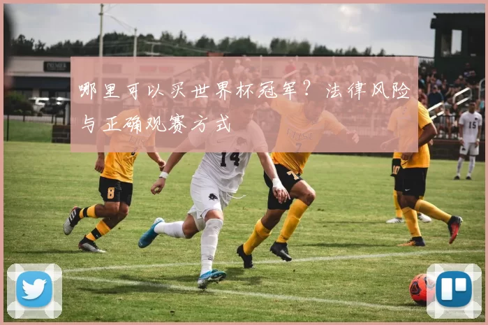 哪里可以买世界杯冠军?法律风险与正确观赛方式