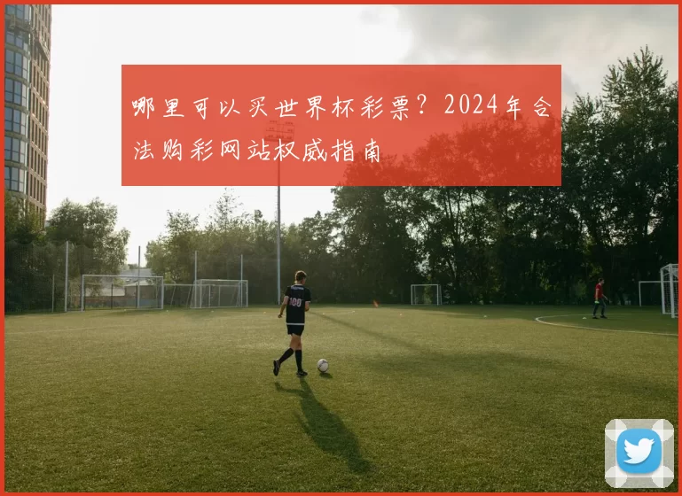 哪里可以买世界杯彩票?2024年合法购彩网站权威指南