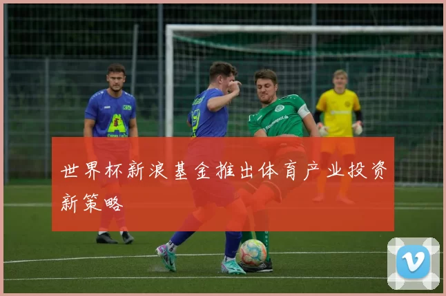 世界杯新浪基金推出体育产业投资新策略