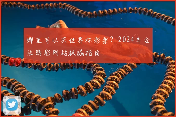 哪里可以买世界杯彩票?2024年合法购彩网站权威指南