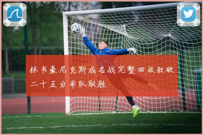 林书豪尼克斯成名战完整回放狂砍二十五分率队取胜