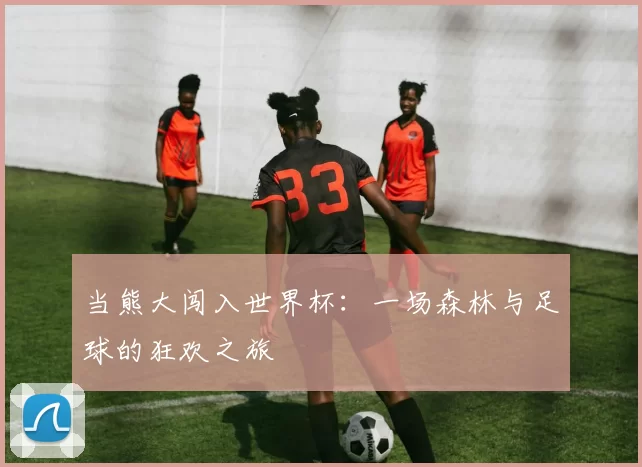 当熊大闯入世界杯:一场森林与足球的狂欢之旅