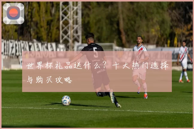 世界杯礼品送什么?十大热门选择与购买攻略