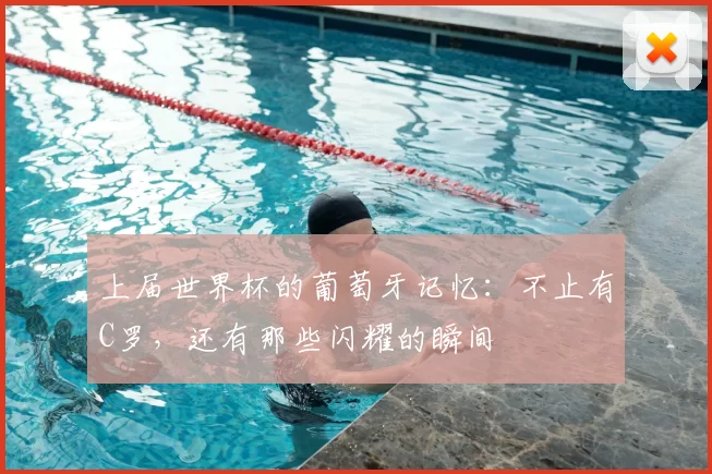 上届世界杯的葡萄牙记忆:不止有C罗,还有那些闪耀的瞬间