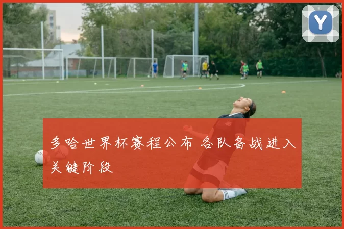 多哈世界杯赛程公布 各队备战进入关键阶段