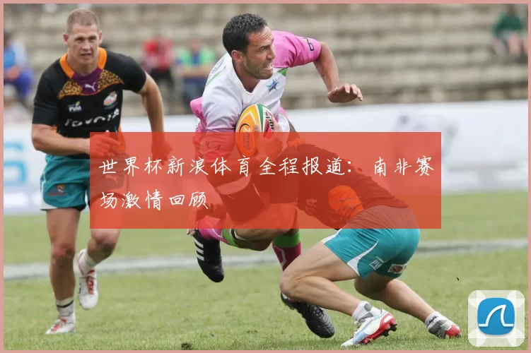 世界杯新浪体育全程报道：南非赛场激情回顾