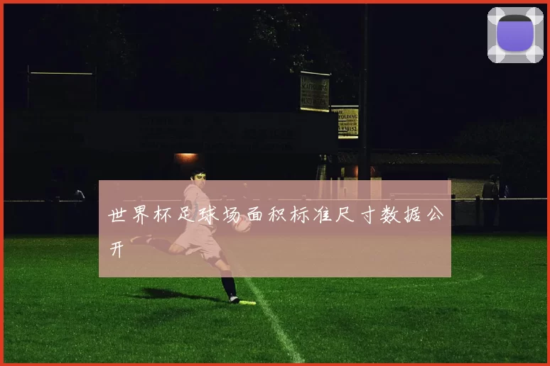 世界杯足球场面积标准尺寸数据公开